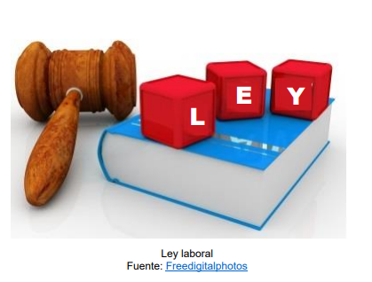 Servicio de alojamiento