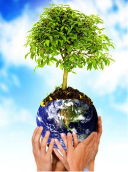 Árbol en la cima de un mundo tomado por varias manos.