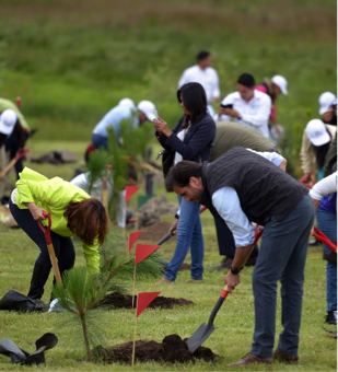 Grupo de personas plantando árboles.