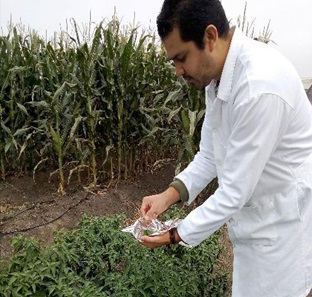 Descripcion de la imagen