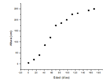 Altura del jitomate en función de la edad Altura del jitomate en función de la edad