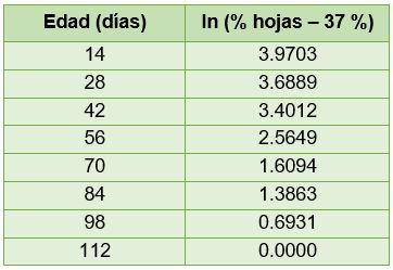 Datos del ln(% Hojas - 37%) en función de la edad Datos del ln(% Hojas - 37%) en función de la edad