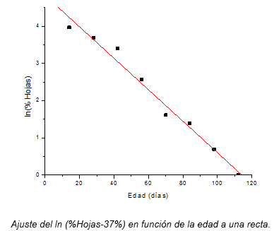 Ajuste del ln(% Hojas - 37%) en función de la edad a una recta Ajuste del ln(% Hojas - 37%) en función de la edad a una recta