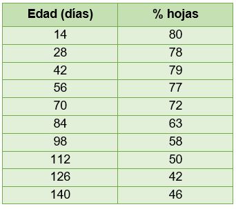 Porcentaje de hojas en función de la edad Porcentaje de hojas en función de la edad