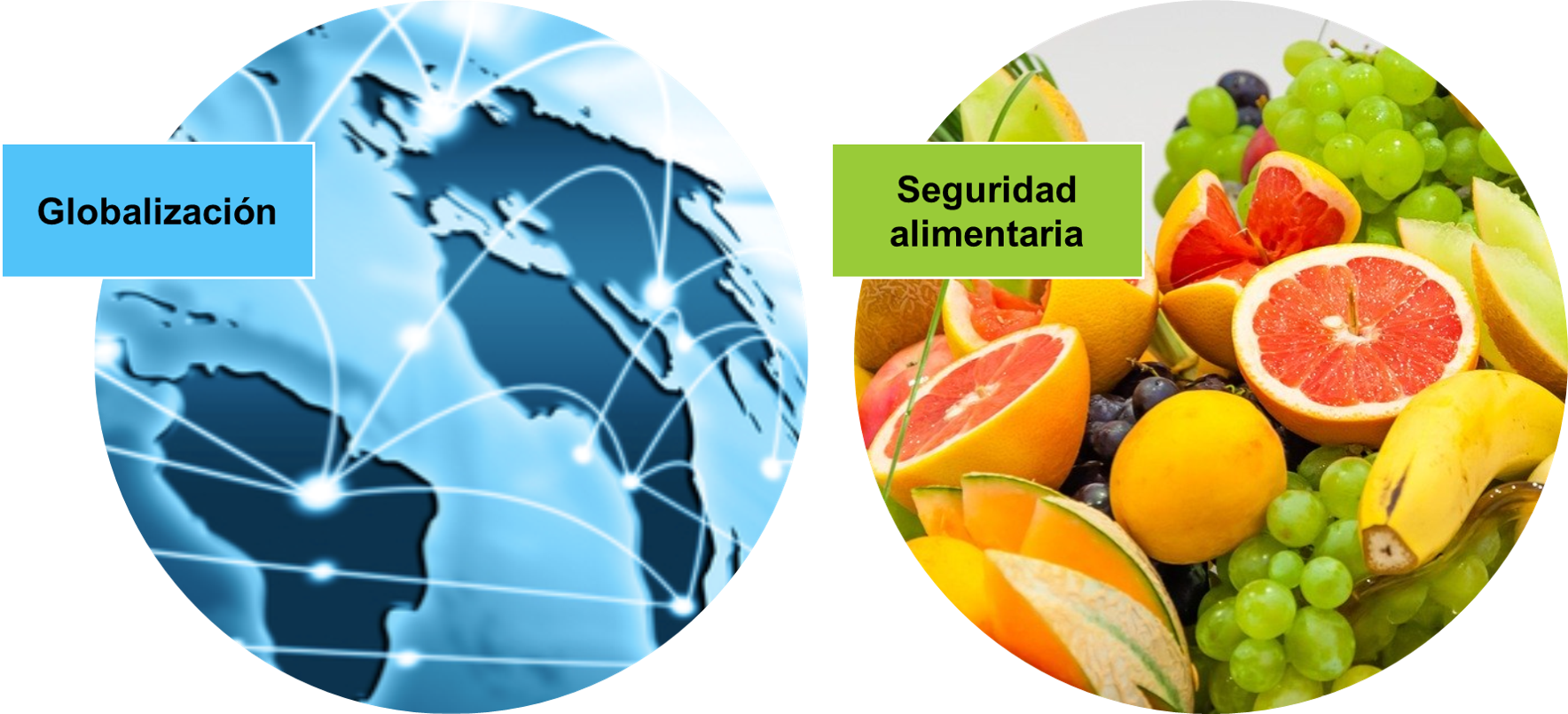 Alimentación y seguridad alimentaria