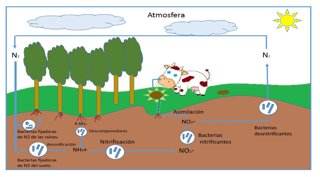 Titulo de la imagen Descripcion de la imagen