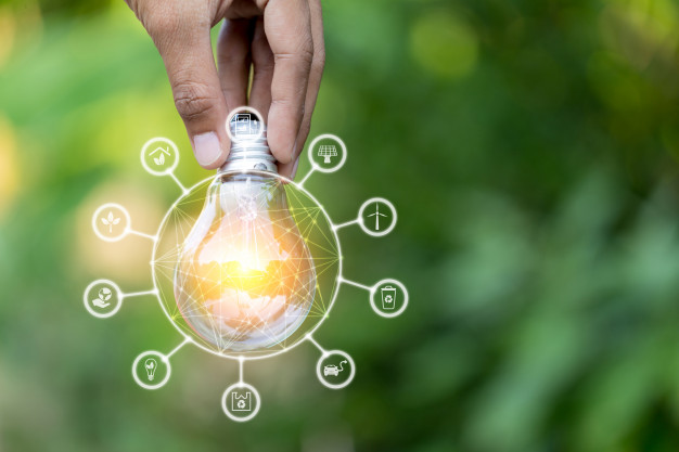 Descripcion de la imagen