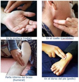 Descripcion de la imagen