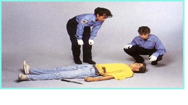 Titulo de la imagen Descripcion de la imagen