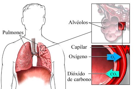 Descripcion de la imagen
