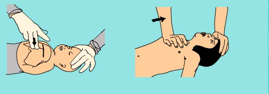 Titulo de la imagen Descripcion de la imagen