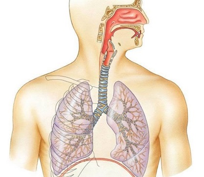 Descripcion de la imagen