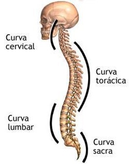 Descripcion de la imagen